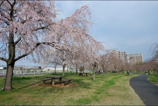 VÌ SAO NÊN CHỌN TRƯỜNG NHẬT NGỮ JIN TOKYO KHI DU HỌC NHẬT BẢN?